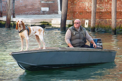 Dog on boat in Venice canal