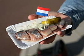 Amsterdam herring