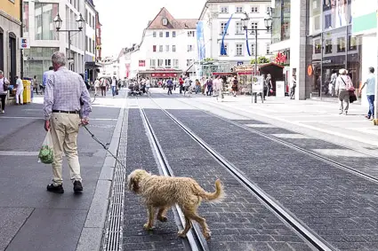 Man and dog in downtown Würzburg