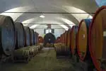 Casks at Dominio di Bagnoli