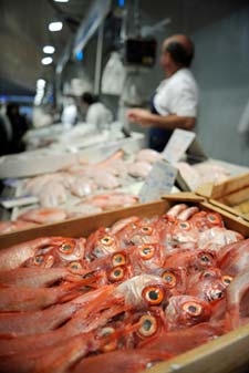 Mercado Central fish photo