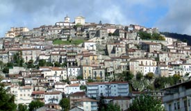 Padula photo