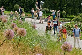 Dahilia Hill garden, Mainau, Germany