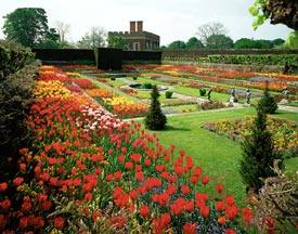 Sunken Garden, Hampton Court Palace
