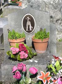 Wire-haired terrier grave at Le Cimeti�re des chiens d'Asni�res-sur-Seine near Paris