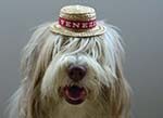 Maggie in gondolier hat
