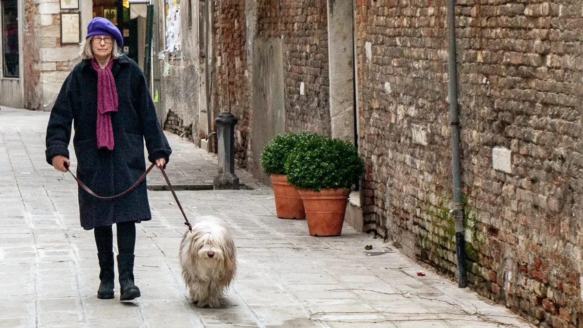 Cheryl Imboden and Maggie the Bearded Collie in Venice, Italy.