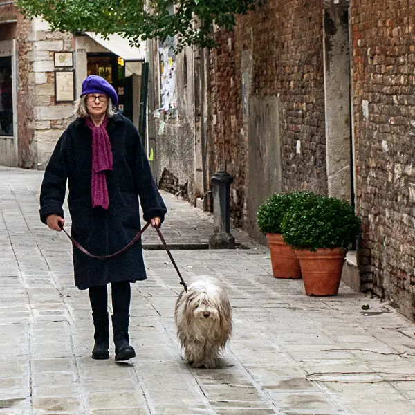 Cheryl Imboden and Maggie the Bearded Collie in Venice, Italy.