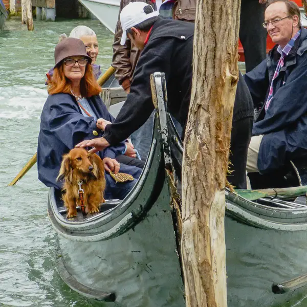 A traghetto, or gondola parada, prepares to leave the San Tomà pier on Venice's Grand Canal. 