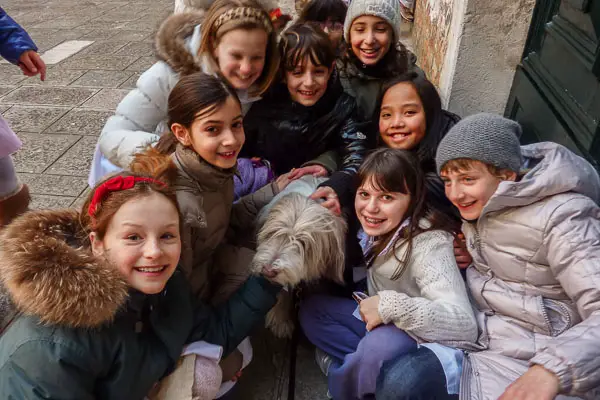 Maggie the Bearded Collie in Venice.