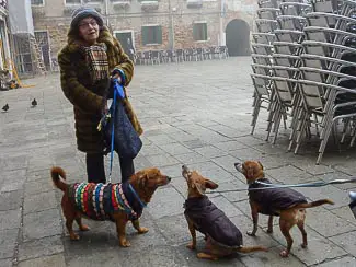 Venice foggy morning in Campo Santa Margherita